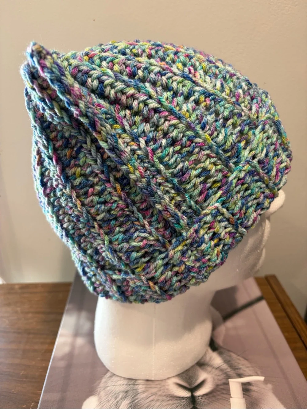 Crochet Cat Ear Beanie Multicolor Chunky Cozy Winter Hat